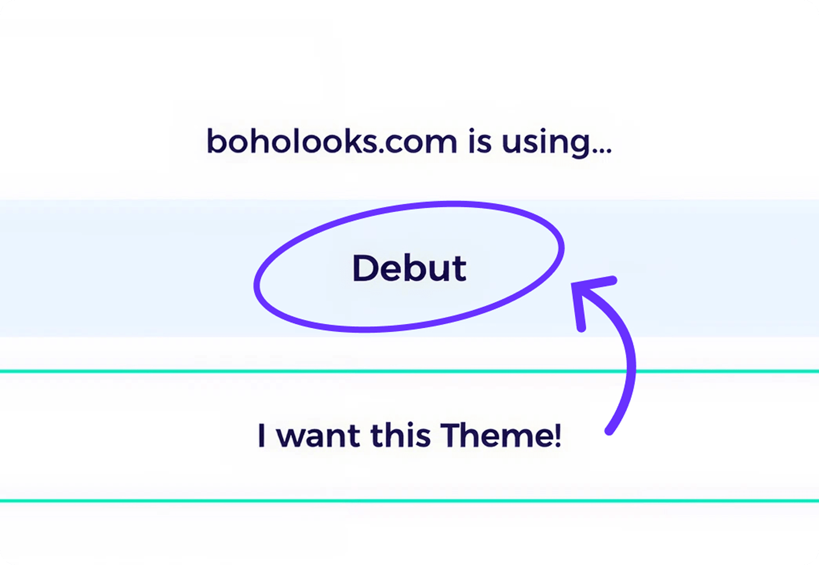 see results what shopify theme the store is using