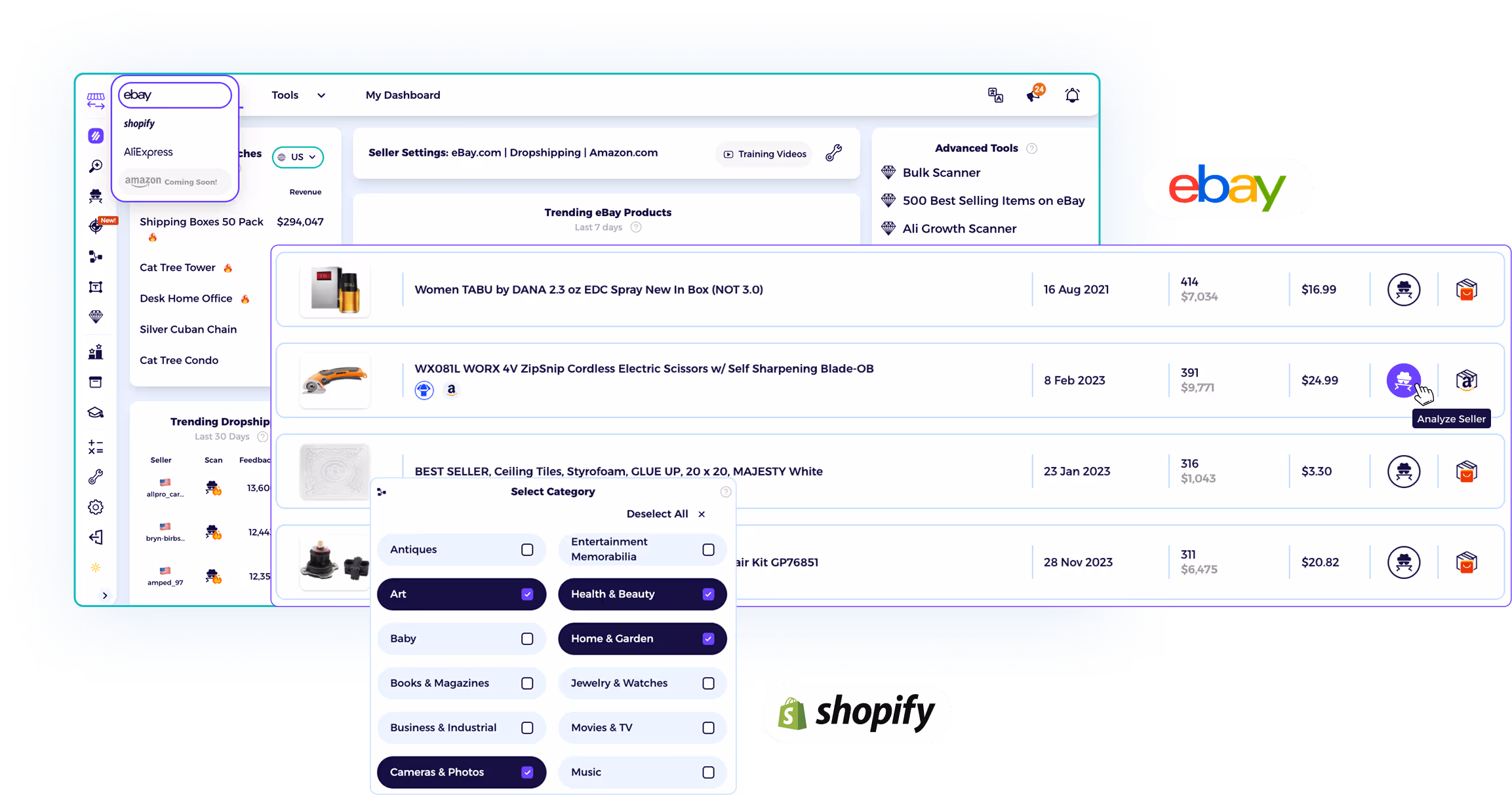Market Insights dashboard tracking dropshipping niche trends in real time